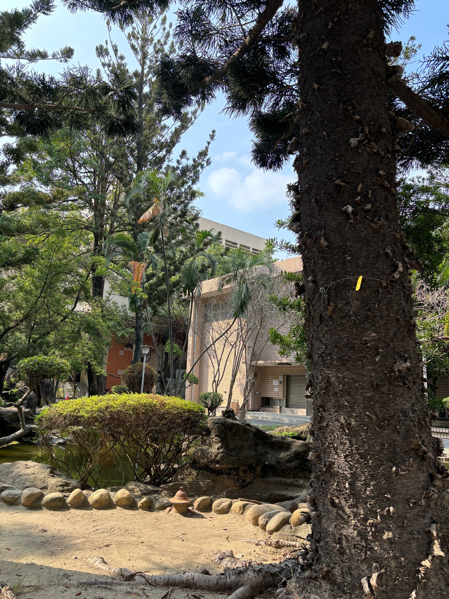 校園生態資料庫-落實聯合國永續發展目標-2.jpg